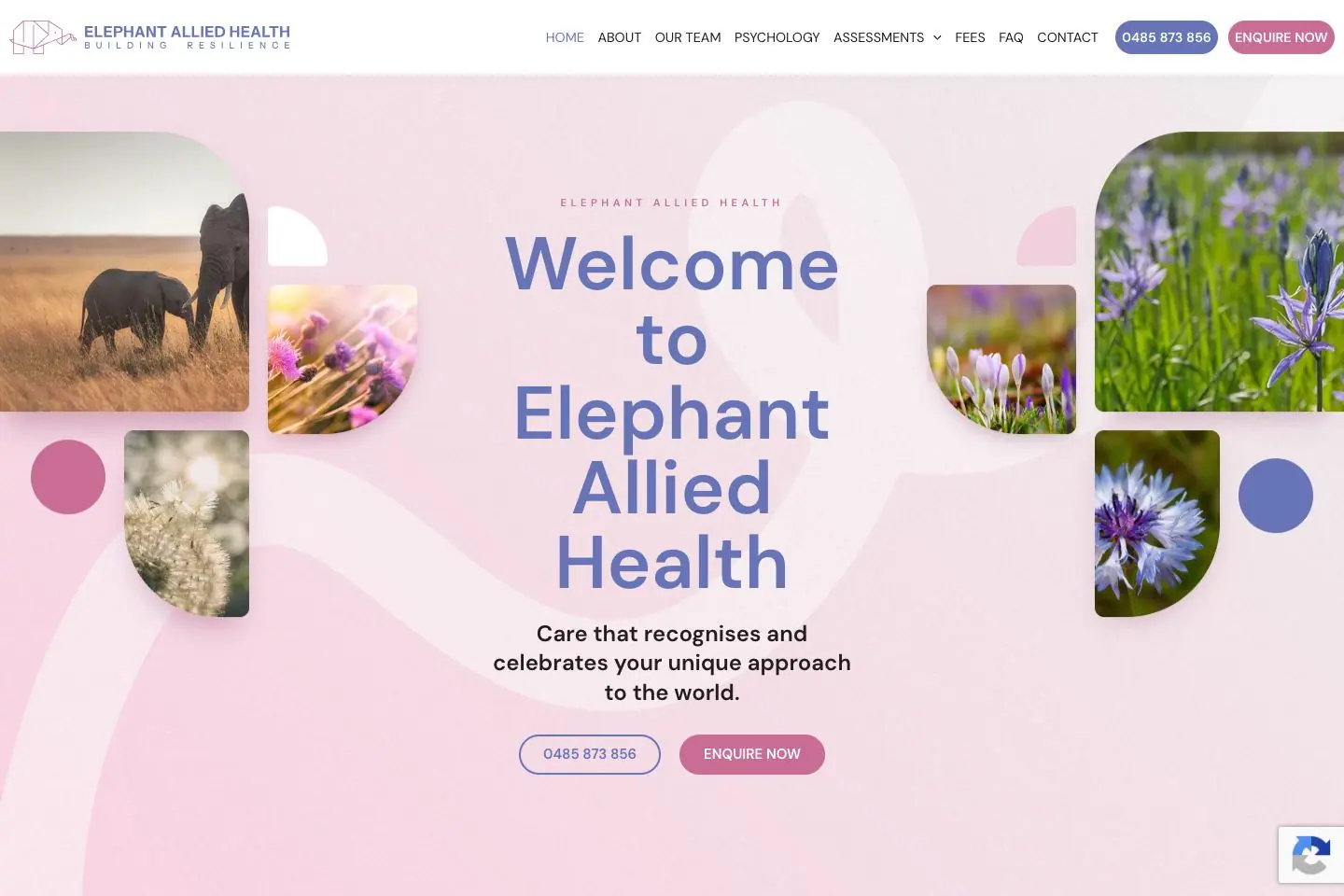 Elephant Allied Health: public website homepage